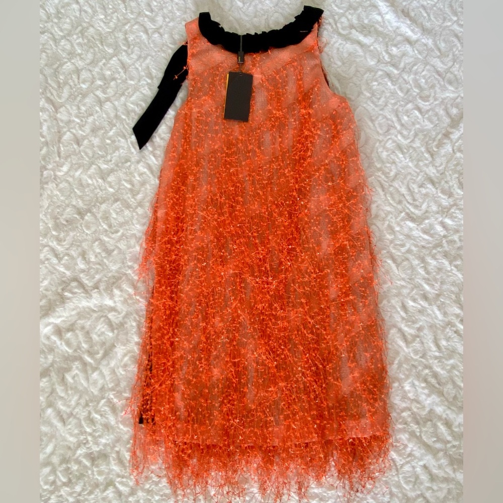 NWT RARE Fendi Party Fringe Details Dress Size 36 - Picture 6 of 16